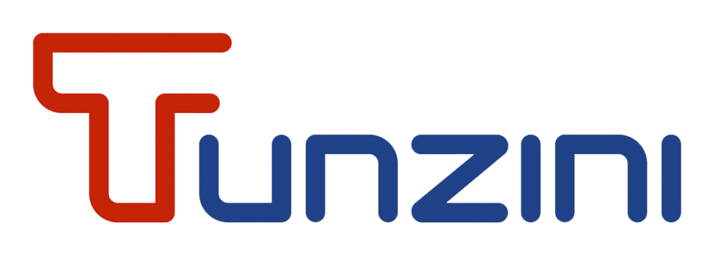 Tunzini